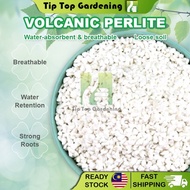60 Liter 3-6mm Volcanic Perlite Natural Expanded Perlite Cactus Succulent Soil Media