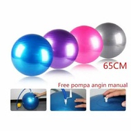 Gym ball fitness ball/