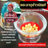🔴สินค้าแนะนำ🔴 พระธาตุข้าวบิณฑ์ ครูบาชัยยะวงศา(ชุดละ5องค์+ผอบใสใส่พระธาตุ) เป็นข้าวจากการบิณฑบาตของพร
