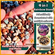 Aquarium Landscaping Stones/9IN1 Rainbow stone 1KG 水族造景石（READY STOCK