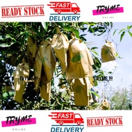 READY STOCK Sarung Buah Harum Manis /Pelam/Mangga/Buah-buahan/ Pembalut Buah Pelam/Mango Bag 芒果袋