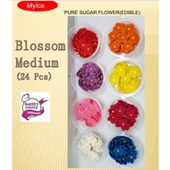 SUGAR PASTE FLOWER (BLOSSOM-Medium) / SUGAR DECO / ICING DECO CAKE EDIBLE FLOWER EDIBLE FLOWERS FOR 