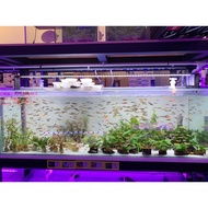 READY STOCK IN MALAYSIA 【AQUARIUM  】Ultra thin multiple spectrum plant LED  ( TC 8035k - 3feet aquarium