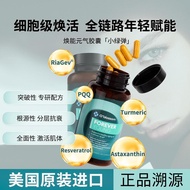 OBLOSSOM欧葆焕能元气胶囊小绿弹PQQ姜黄素激活肌体营养补充剂OBLOSSOM Ou Bao-Huaneng Vigor Adhesive20260114