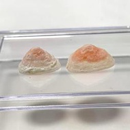 笠螺//海洋天然色一組兩顆 尺寸：11/13mm