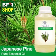 Pure Essential Oil (EO) - Pine - Japanese Pine Essential Oil - 500ml