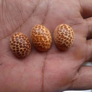 Genuine agate stone, 16 to 20 mm