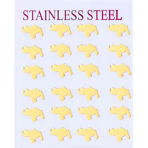 12 Pairs Pack Venezuela Map Stud Earrings Women Men Earings Gold Plated Stainless Steel Jewelry Bulk