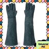 Leather Gloves Anti scratch Protective Anti bite Reptile Cat Dog Snake Wild Animals Handling Glove 防