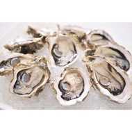 冷冻生蠔Frozen Oyster - 10pcs/pkt (Klang Valley only)