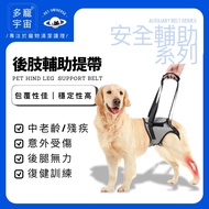Ready Stock [More Pet Universe] Dog Auxiliary Belt/Pet Auxiliary Belt/Old Dog Auxiliary Belt/Auxilia