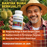 New 2026 Stimulate Fruit BOOSTER 76 – Trusted Organic Solution for Fast Growth & High Yield