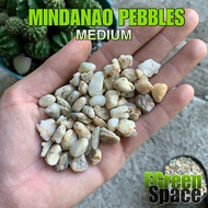 Assorted Mindanao Pebbles (Medium)- 10 KILO BAG