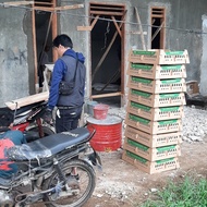 DOC Ayam Kampung Unggul KUB 2 Janaka PT SUI Terlaris