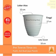 Pot Tawon Tirus 15 151 / Pot Tawon Pirus 151