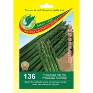 Benih Asparagus - Green Eagle 136 F1 Hibrid Asparagus Hasil Tinggi