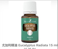 Eucalyptus radiata