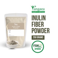 Imported Unsweetened Premium Organic Inulin Fiber (Chicory Root) Powder (250g, Re-sealable pouch)