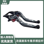 Suitable for Calf GOG1G2G3SF2SF0F2F4 New Style G100 Electric Car Brake Handle Horn Lever Accessories
