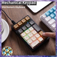 [r3jylk02.vn]  21 Key Wired Mechanical Numeric Keypad with RGB Lights Blue Switch Suitable for Finan