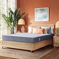 Duroflex Livein Essential - Pressure Relieving, Memory Foam Mattress Queen Bed, Roll Pack, 6 Inch Qu