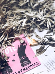 北美淨化聖品 美國進口 白鼠尾草 白色鼠尾草散裝  white sage