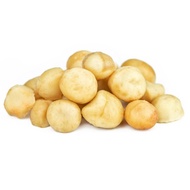 Macadamia Nuts / Kacang Macadamia