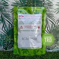 Paket 100g-500g AMPLE 551 Biji Benih Kacang Panjang Cap Panah Merah F1 Hybrid Yard Long Bean Seeds E