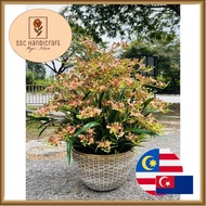 Bunga Hiasan Bunga Orkid Hiasan Rumah ORKID LATEX 3D LATEX Orchid Siap Gubah Bunga Hiasan dalam ruma