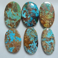 PERSIAN TURQUOISEnatural (D15)