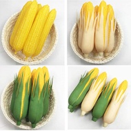 [Simulation Model] Simulation Fruit Vegetable Corn Model Photo Props Kitchen Decoration Ornaments Te
