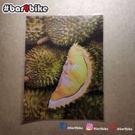 行車證貼-榴槤乜乜乜 #bar9bike #香港製 