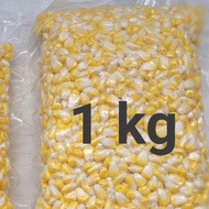 Jagung Pipil  jagung manis/sweet corn