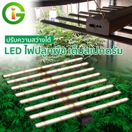 🔥สปอตสินค้า🔥SAMSUNGLM281B ไฟปลูกต้นไม้ LED Grow Light 240W/320W/480W/640W/800W/1000W/1200W/1500W/1800W/2000W ขนาดใหญ่ หรี่แสงได้ ไฟปลูกต้นไม้ช่วยให้พืชเจริญเติบ