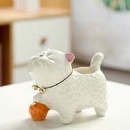 Tyk b. Succulent Small Flowerpot Ceramic Cute Cat High-value Creative Simple Style Decoration Deskto