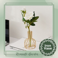 Nordic Golden Iron Vase with Hydroponic Glass for Ornaments Artificial Flower dried flowers Decor