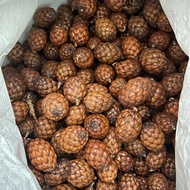 ️ Bodhi Seed Iron Tree Seed Handle File Toy Madagascar Pine Cone Bodhi Seed Wenwan 8.25