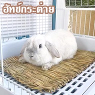 Mat Mattress For Rabbit