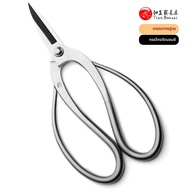 เกรดมาตรฐาน 190 มม.รากตัดแต่งกิ่งบอนไซกรรไกร 3Cr13 โลหะผสมเหล็กเครื่องมือบอนไซ