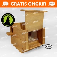 GLODOK KACA SARANG TEMPAT BERTELUR BURUNG LOVEBIRD / PROMO GLODOK SARANG TEMPAT BERTELUR BURUNG LOVE