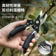 不锈钢剪枝剪刀强力花剪果树修剪树枝园艺园林修枝剪花艺剪子果园Stainless steel pruning scissors strong flower scissors fruit tree pru