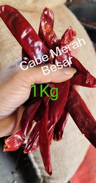Cabe Merah besar ( Wonder Hot ) kualitas PREMIUM