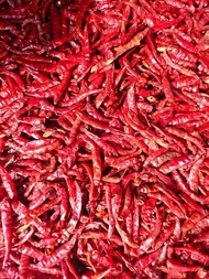 Cabe Merah Rawit Teja Kering Cabe Garut 250 Gram Dijamin Pedas