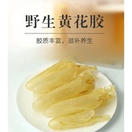 黄花胶筒/黄花鱼Yellow Fish Maw