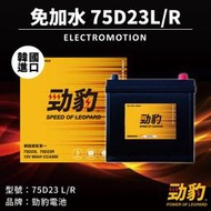 勁豹電池【車用電瓶】保固15個月 免加水 日規 75D23L  同 85D23 55D23 55B24L 汽車電池 電瓶