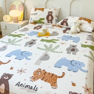 Abraca Dabra 880TC Super Soft Washed cotton Fitted Bedsheet With Rubber Comfortable Super SIngle / Q