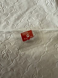 SanDisk microSD Express 256GB