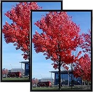 Medog 24x36 Poster Frame Black, Display Pictures 24x36 Picture Frame, Studio Gallery Frame, Wall Sch