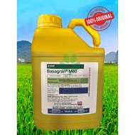 [OFFICIAL SELLER -ORIGINAL] RACUN RUMPUT BASF Basagran M60 - 5 LITER (RACUN RUMPAI Sesuai untuk Padi