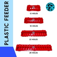 Plastic Feeder for Chicks and Small Birds